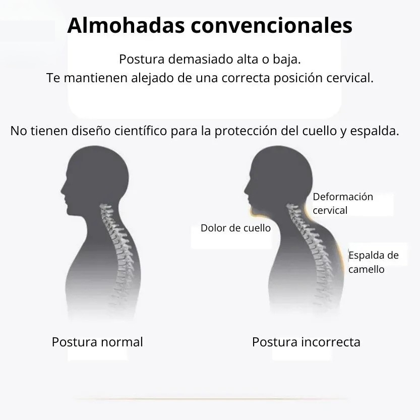 DELUXE ERGONOMIC PLUS Almohada Ortopedica 3d Con Alineación Cervical Perfecta